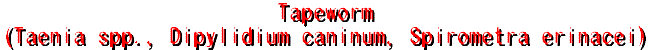tapeworm